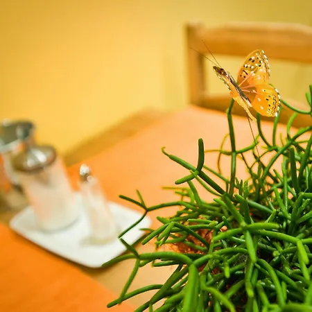 Guest house Delanta