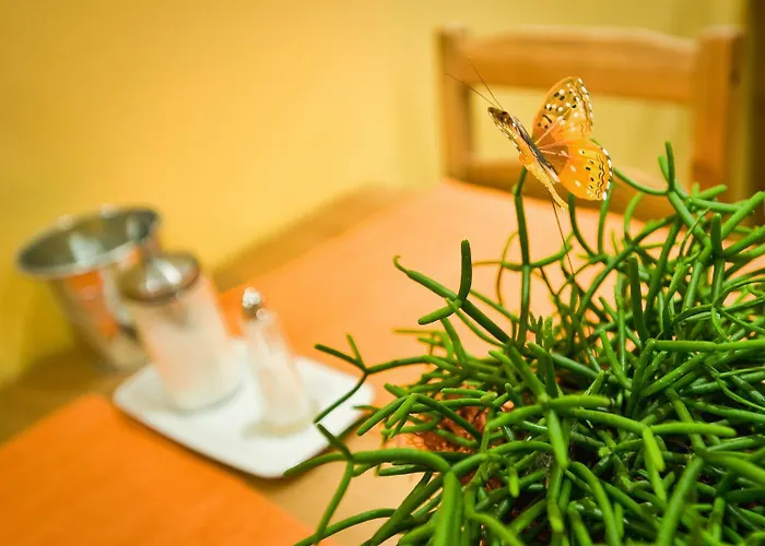 Gæstehus Delanta & Wellness